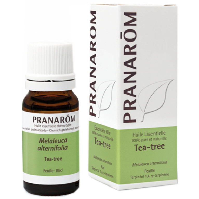 Tea tree (Arbre à thé) - Huile essentielle de Melaleuca alternifolia 10 ml  - Pranarôm