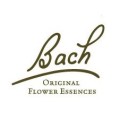 FLEUR BACH FAMADEM