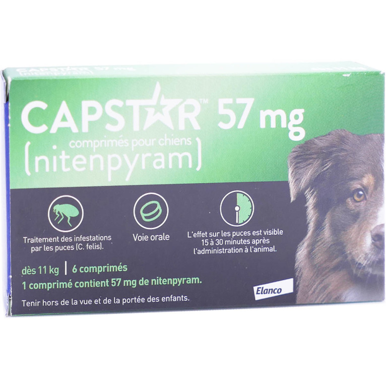 Capstar Chat 11,4 mg comprimés - Traitement anti puces efficace
